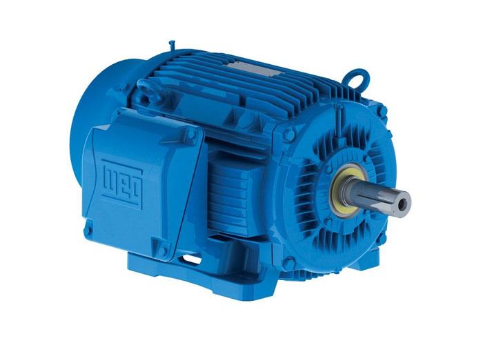 Industrial Electric Motors